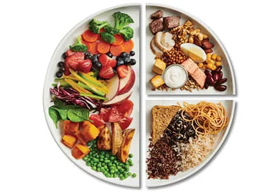 Visual chart comparing nutrient categories side by side